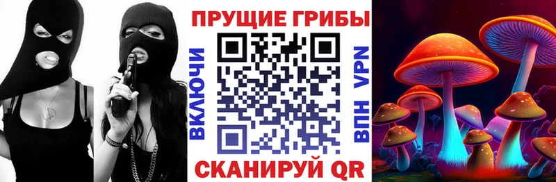 Галлюциногенные грибы Psilocybine cubensis Рыльск